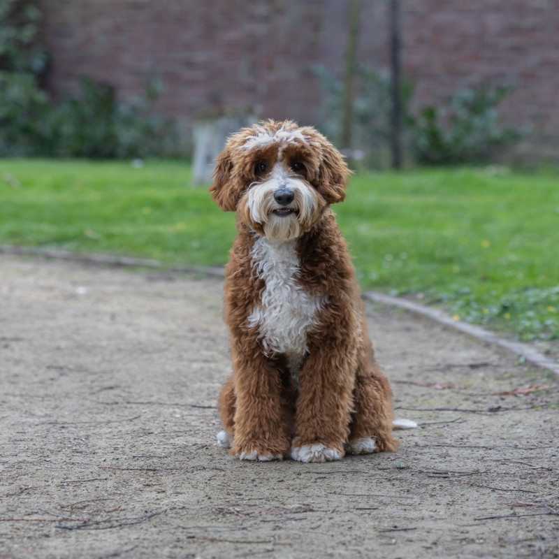 Foto van Melle