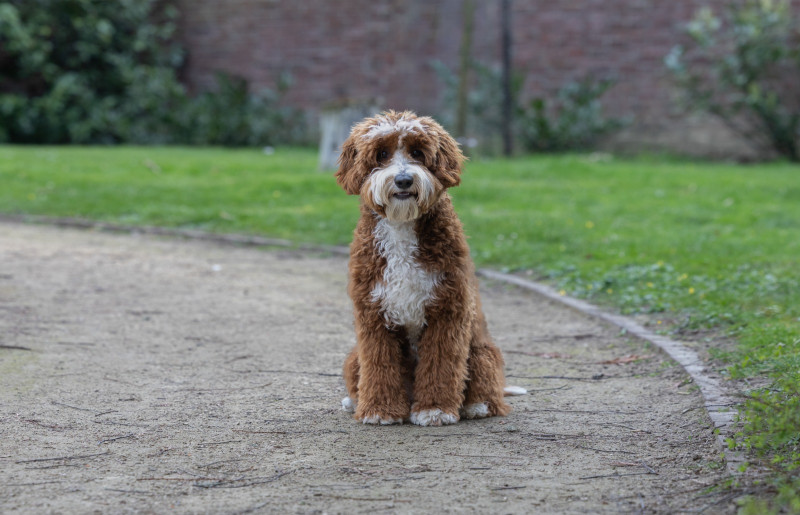 Foto van Melle